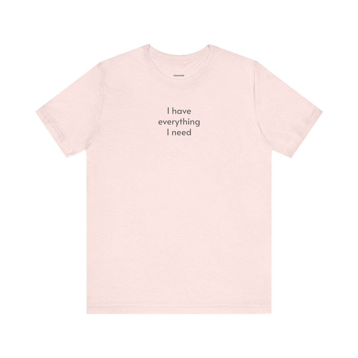 I Have Everything I Need Minimalist Style T-Shirt product image 14