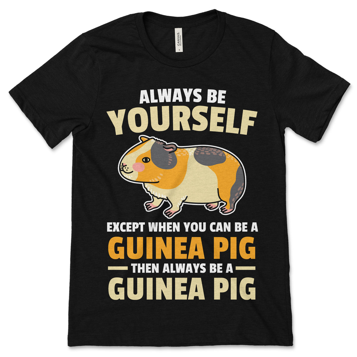 Always Be Yourself Guinea Pig Funny Cute Pigs Owner Lover product image 1