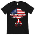 American Flag Danish Roots Denmark T-Shirt, Danishs, Gifts product image 1