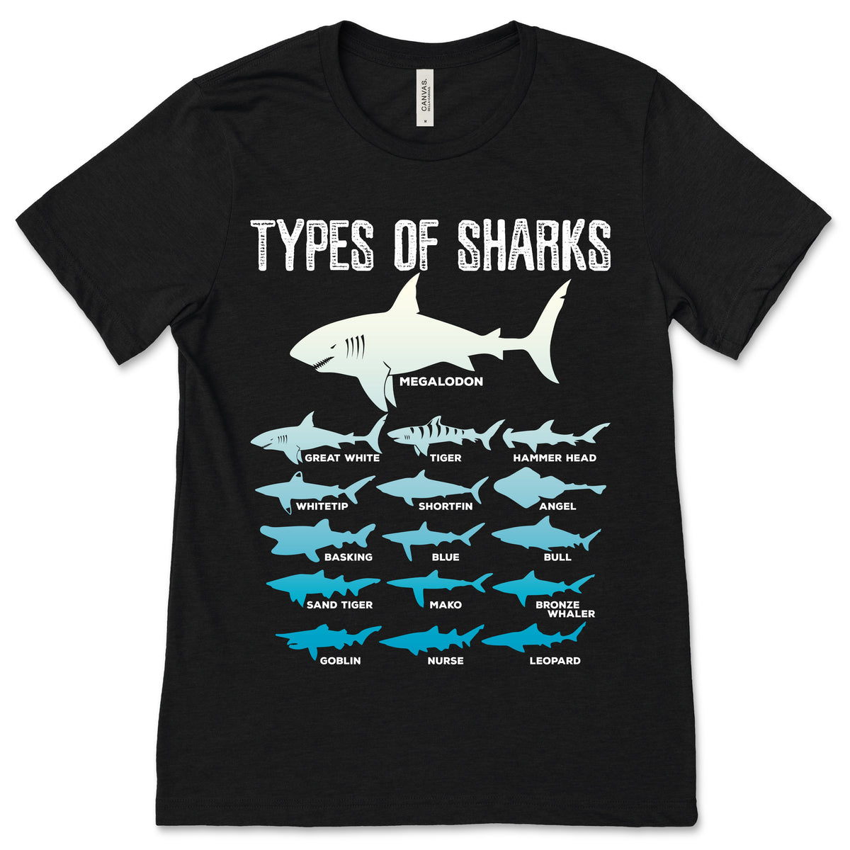 16 Types of Sharks T-Shirt, Marine Biology, Shark Week product image 1