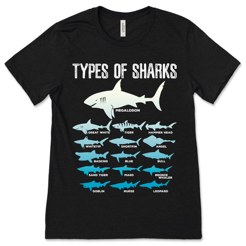 16 Types of Sharks T-Shirt, Marine Biology, Shark Week product image 1