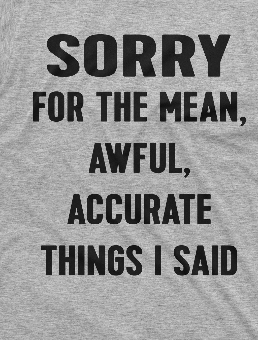 Sorry for the Mean Awful Accurate Things I said Funny product image 2